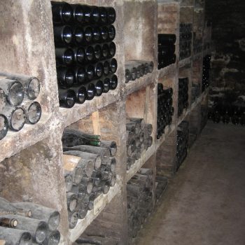 Henri Gouges Wines are definitely cellarable. Wine Cellaring